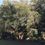 Leccia Di Lorello Villa Grosseto-Prugna