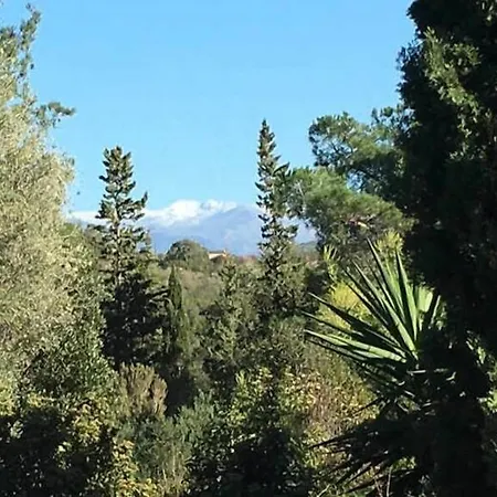 Leccia Di Lorello