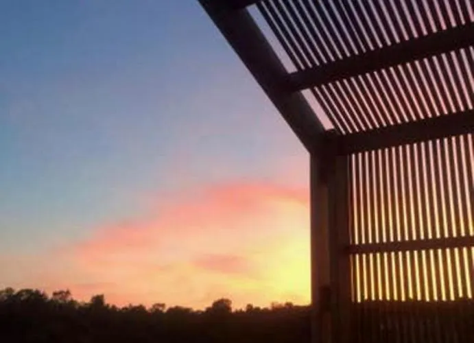 Leccia Di Lorello * Grosseto-Prugna